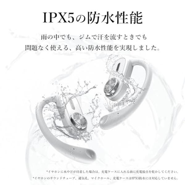 FiiO FD11 Earphones High Performance Dynamic Driver IEMs Earbuds with Deep Bass 0.78mm Detachable Cable 3.5mm Plug in Ear Headphones for Musician Singer Music (Silver)