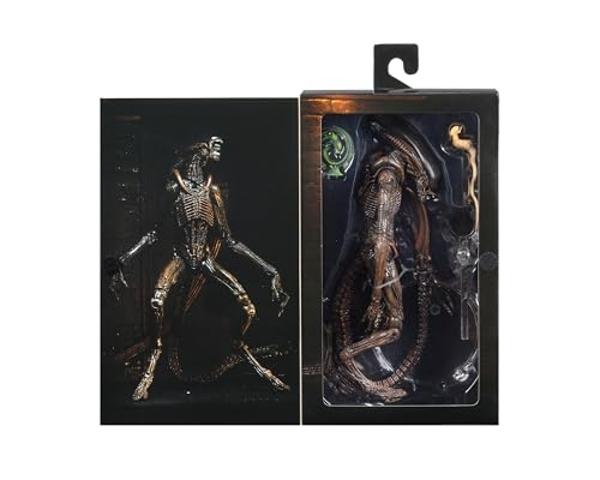 Banpresto - One Piece - Boa Hancock II - Creator x Creator Figure