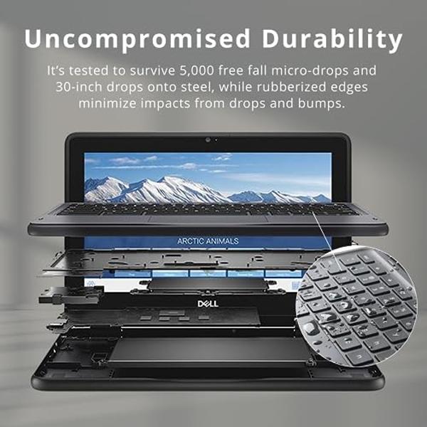 Dell Chromebook 11 3000 3100 11.6" Chromebook - HD - 1366 x 768 - Intel Celeron N4020 Dual-core (2 Core) - 4 GB RAM - 16 GB Flash Memory - Chrome OS - English (US) Keyboard - 14 Ho