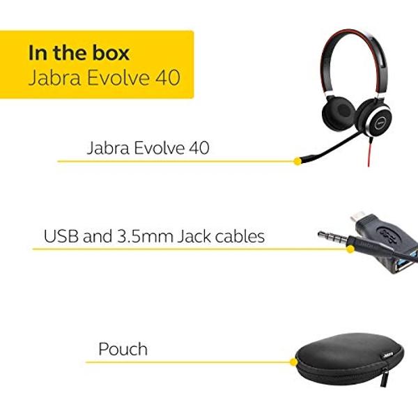 Jabra Evolve 40 Professional Wired Headset, Stereo, MS-Optimized – Telephone Headset for Greater Productivity, Superior Sound for Calls and Music, 3.5mm Jack/USB Connection, All-Da