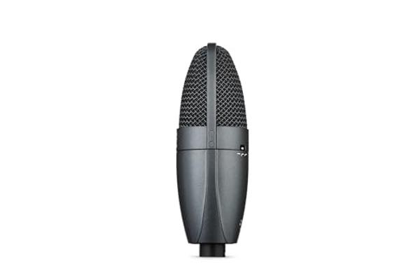 Shure Stage Performance Kit with PGA58 Cardioid Dynamic Vocal Handheld Microphone, XLR Cable and Mic Stand - for Onstage or Studio (PGA58BTS)