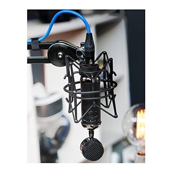 Blue Blackout Spark SL XLR Condenser Microphone for Pro Recording, Streaming, Podcasting, Gaming, with Large Diaphragm Cardioid Mic Capsule, Shockmount, Detailed Natural Sound, Pro