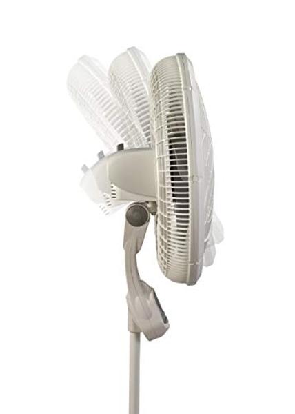 Lasko Cyclone Pedestal Fan, Adjustable Height, Remote Control, Timer, 3 Speeds, for Bedroom, Kitchen, Office and Living Room, 18", White, 1885, Large