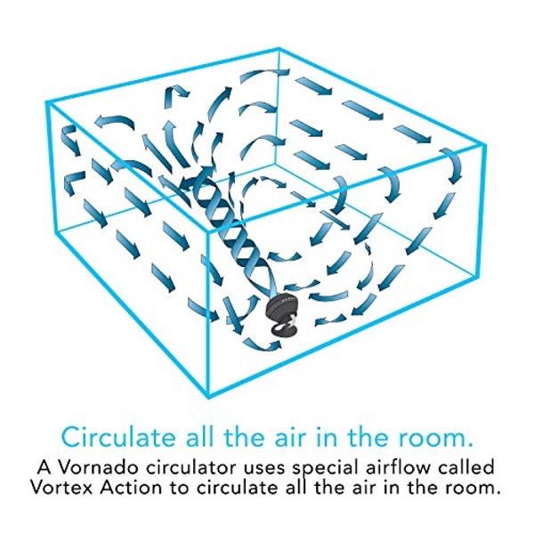 Vornado 660 Large Whole Room Air Circulator Fan for Home, 4 Speeds and 90-Degree Adjustable Tilt, Removable Grill, 10 Inch, Floor Fan for Bedroom, Office, Black