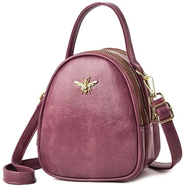 Small Crossbody Bags Shoulder Bag for Women Stylish Ladies Messenger Bags Purse and Handbags Wallet