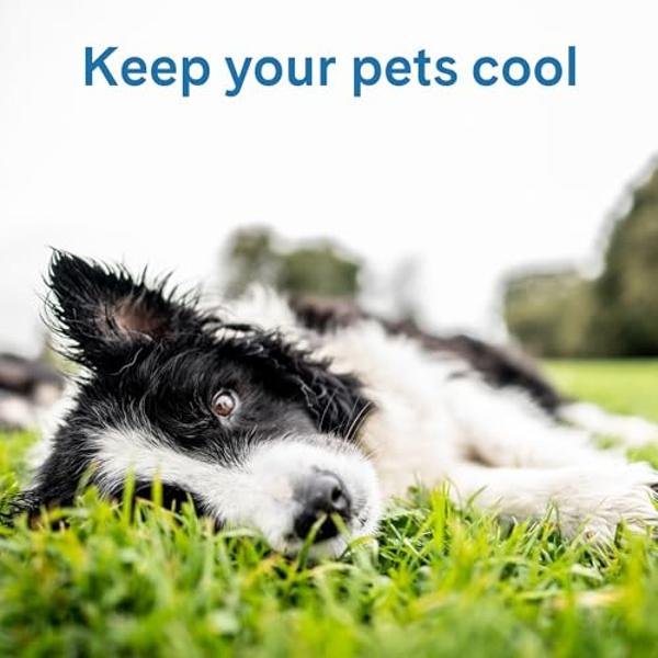 The Green Pet Shop Cool Pet Pad - Large, Blue - Self-Cooling, Pressure Activated Mat for Dogs & Cats from 46-80 lbs - Non-Toxic Gel, No Water Needed