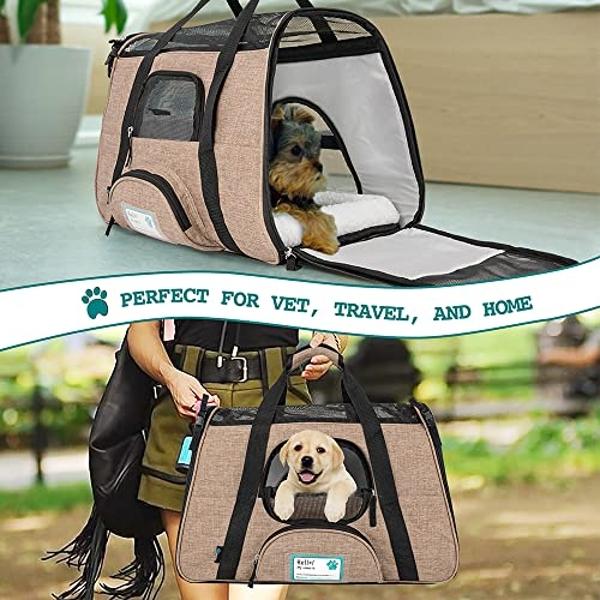PetAmi Airline Approved Pet Carrier for Cat, Soft Sided Dog Carrier for Small Dog, Cat Travel Supplies Accessories for Indoor Cat, Ventilated Pet Carrying Bag Medium Kitten Puppy, 