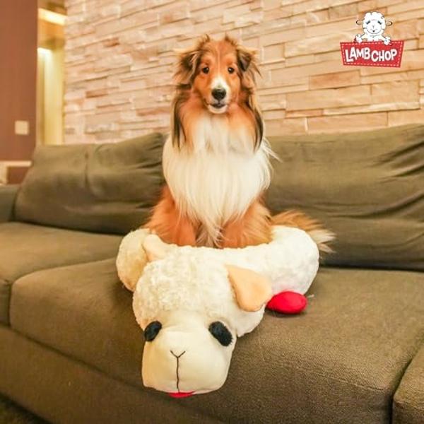 Multipet Lamb Chop Dog Bed - Ultra Plush Polyester Pet Bed w/ Removable Soft Foam & Non-Skid Bottom - Gentle Machine Washable Dog Bed - Durable Dog Bed for All Dogs (27", White)