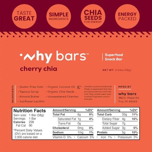 Feel Vegan Protein Bars | Chocolate Lovers | Keto | Gluten Free | Organic | Lions Mane | Chaga | Ashwagandha | 15g Plant Protein | Low Carb | High Protein | Dairy Free | Low Sugar 