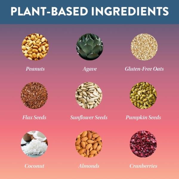 Protein Puck Plant Based Bars | Snacks with Vegan Protein | 12 Count | 1.34 oz Mini Size | Gluten Free, Non Dairy, Kosher Certified Non GMO Premium Healthy Bars | Wanderlust