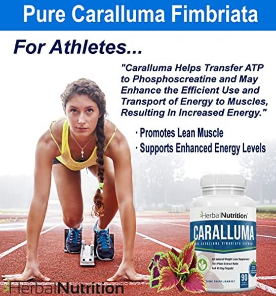 Dirobi Pounds and Inches Weight-Loss Drops, Liquid Weight-Loss Supplement for Women and Men, Diet-Pill Alternative with Delicious Blueberry Flavor…