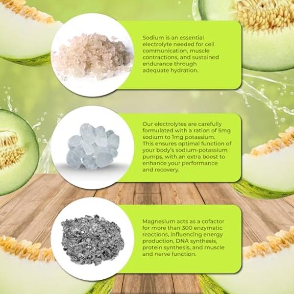 Santa Cruz Paleo Electrolyte Powder Honeydew Melon with Himalayan & Sea Salt, Magnesium, Potassium, Sugar-Free, 30 Servings