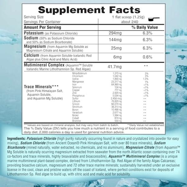 Morning Recovery, Electrolyte with Energy, Milk Thistle Drink Proprietary Formulation to Hydrate While Drinking for Morning Recovery, Highly Soluble Liquid DHM, Berry, Pack of 12