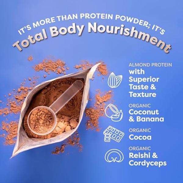 FlavCity Vegan Protein Powder - Chocolate Peanut Butter - 20g Almond, Plant Based Protein Powder - Dairy-Free Shake - With Organic Fruit, Reishi & Cordecyps Mushrooms - No Blender 