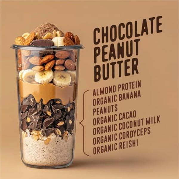 FlavCity Vegan Protein Powder - Chocolate Peanut Butter - 20g Almond, Plant Based Protein Powder - Dairy-Free Shake - With Organic Fruit, Reishi & Cordecyps Mushrooms - No Blender 
