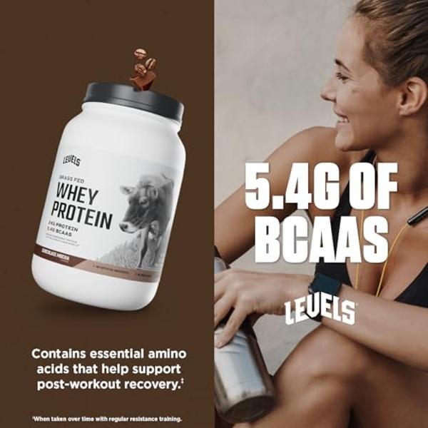 Optimum Nutrition New Flavor Gold Standard 100% Whey Protein Powder, Fruity Cereal, 1.98 Pound (Pack of 1) (Packaging May Vary)