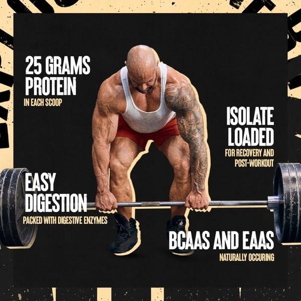 Ensure Plus Dark Chocolate Nutrition Shake, Meal Replacement Shake, 24 Count