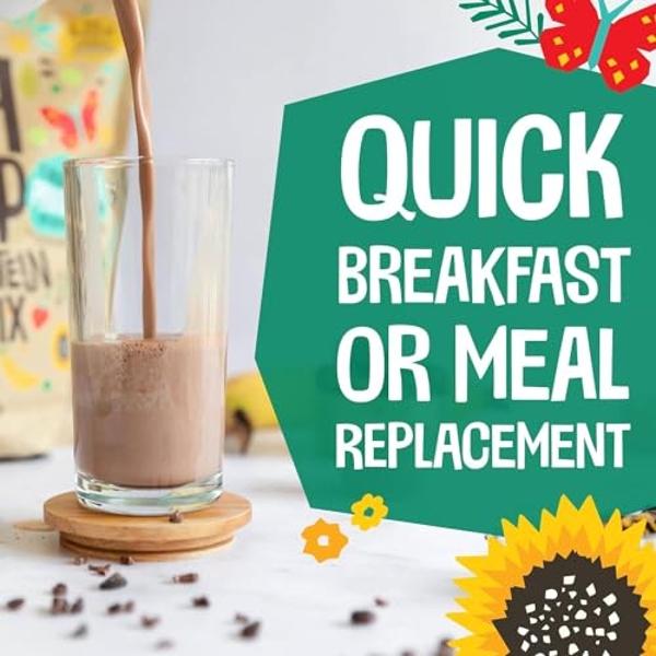 Evolve Plant Based Protein Shake, Café Mocha, 20g Vegan Protein, Dairy Free, No Artificial Sweeteners, Non-GMO, 10g Fiber, 11oz, (12 Pack) (Formula May Vary)