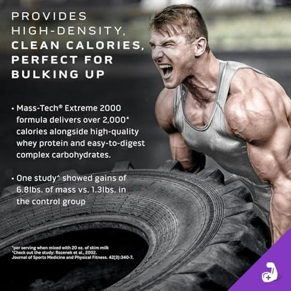 NAKED Vegan Mass - Natural Vegan Weight Gainer Protein Powder - 1,230 Calories, Non-GMO, Soy & Gluten Free, No Artificial Ingredients - 12LB Bulk - 17 Servings