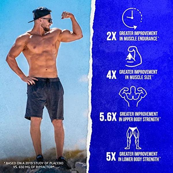 ALPHA LION Gains Candy, Supplement Pills for Muscle Growth, Size, & Strength, Nitric Oxide Booster, Muscle Builder, Use Daily to Upgrade Energy & Workout Performance, 60 Capsules (