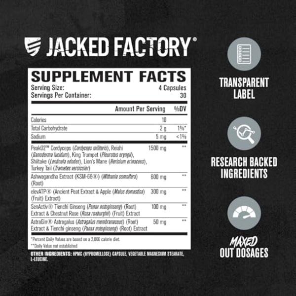 Jacked Factory Build-XT Max Muscle Builder for Men and Women - ATP Supplement with Peak02 Cordyceps, KSM-66 Ashwagandha, & ElevATP for Muscle Recovery, Muscle Growth, Increased End