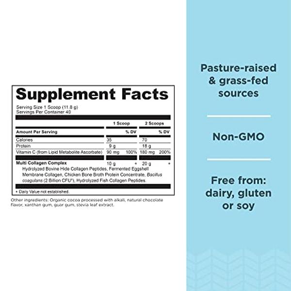 Ancient Nutrition Hydrolyzed Collagen Peptides Powder with Probiotics, Chocolate Multi Collagen Protein for Women and Men with Vitamin C, 40 Servings, Supports Skin and Nails, Gut 