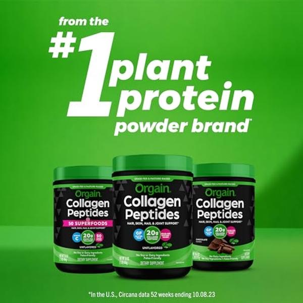 Ancient Nutrition Hydrolyzed Collagen Peptides Powder with Probiotics, Chocolate Multi Collagen Protein for Women and Men with Vitamin C, 40 Servings, Supports Skin and Nails, Gut 
