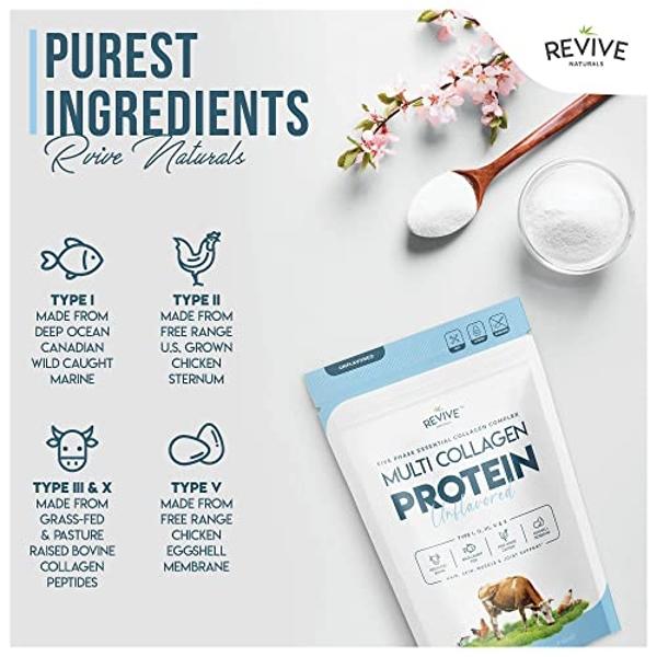 Multi Collagen Hydrolyzed Protein Powder (16oz) - Types I, II, III, V & X - Grass Fed Bovine (Peptan®), Wild Caught Marine, Free Roaming Chicken & Eggshell Collagen Peptides, Non-G