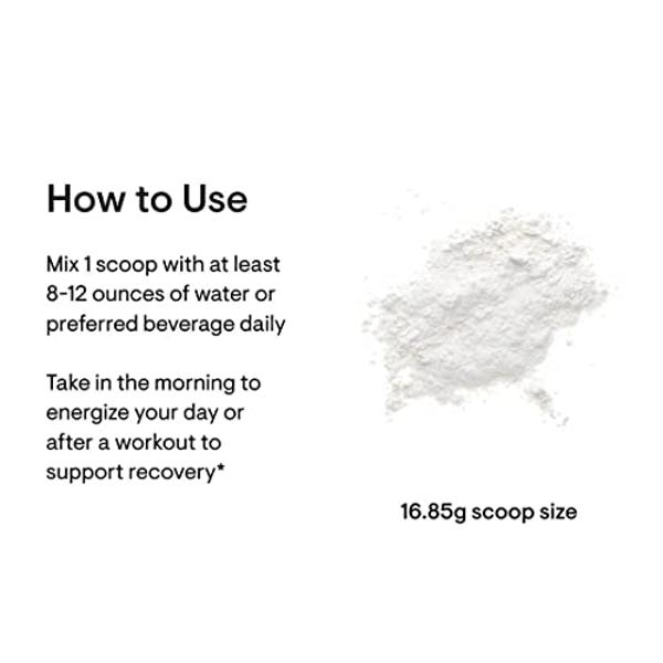 THORNE Collagen Fit - Unflavored Collagen Peptides Powder with Nicotinamide Riboside - 15g of Collagen Peptides and 14g Protein per Serving - NSF Certified for Sport - 17.8 Oz - 30