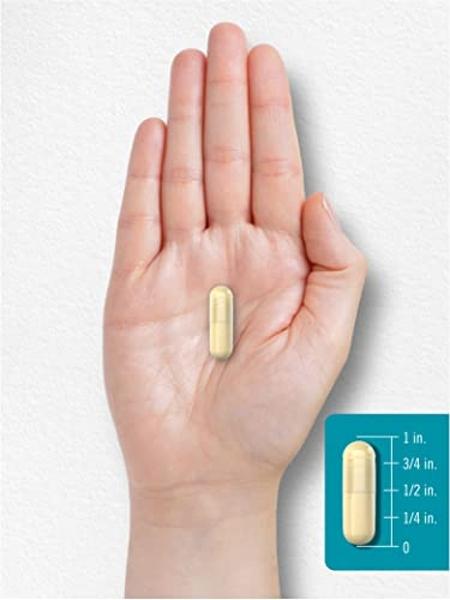 Life Extension NT2 Collagen™, Joint Health Supplement for Joint Comfort & Mobility, Gluten-Free, Non-GMO, 1 Daily, 60 Small Capsules