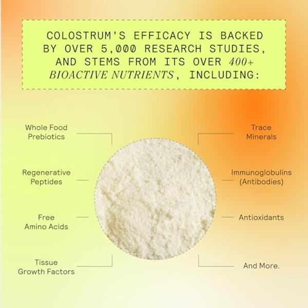 Life Extension NT2 Collagen™, Joint Health Supplement for Joint Comfort & Mobility, Gluten-Free, Non-GMO, 1 Daily, 60 Small Capsules