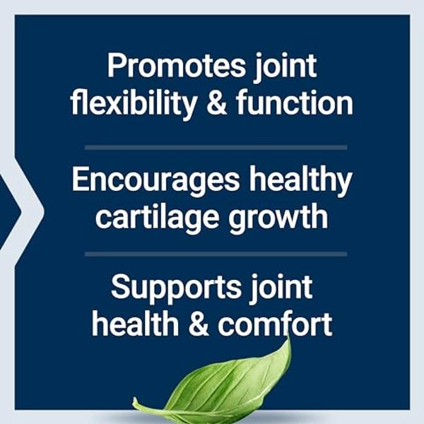 Life Extension NT2 Collagen™, Joint Health Supplement for Joint Comfort & Mobility, Gluten-Free, Non-GMO, 1 Daily, 60 Small Capsules