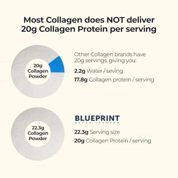 Blueprint Bryan Johnson Collagen Peptide Powder - 20G Collagen Peptides - Types I, II, III - No Added Sugar, Joint & Skin Support - Pasture Raised - Versatile Powder for Daily Use 