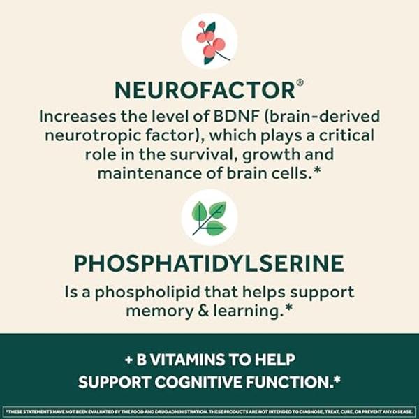 NEURIVA Plus Brain Supplement for Memory and Focus Clinically Tested Nootropics for Concentration for Mental Clarity, Cognitive Enhancement Vitamins B6, B12, Phosphatidylserine 30 