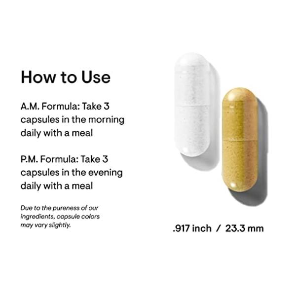 JoySpring Speech & Communication Support for Kids | Zeolite Supplement for Wellness | Supports Development & Learning | Made in USA