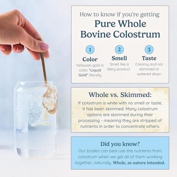 Colostrum Supplement Powder for Gut Health, Immune Support, Muscle Recovery & Wellness | Natural IgG Pure Whole Bovine Colostrum Superfood, Unflavored, 30 Servings