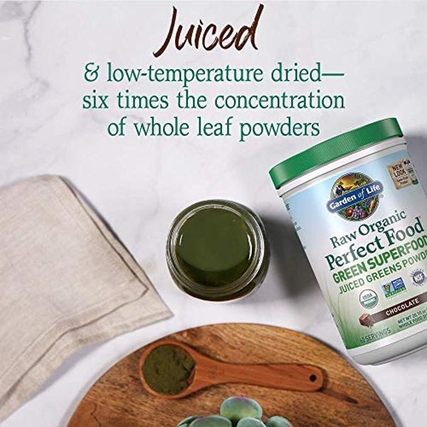 Garden of Life Raw Organic Perfect Food Green Superfood Juiced Greens Powder - Chocolate, 60 Servings, Non-GMO, Gluten Free, Vegan Whole Food Dietary Supplement, Plus Probiotics, E
