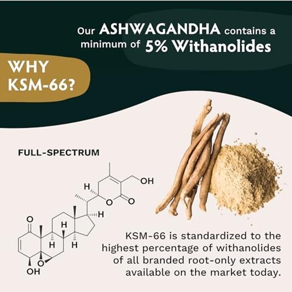 TRIBE ORGANICS Ashwagandha KSM 66 Pure Organic Root Powder Extract Ayurvedic Supplement - Focus, Mood Support, Increase Energy, Strength, 600mg of Natural KSM66 for Superior Absorp