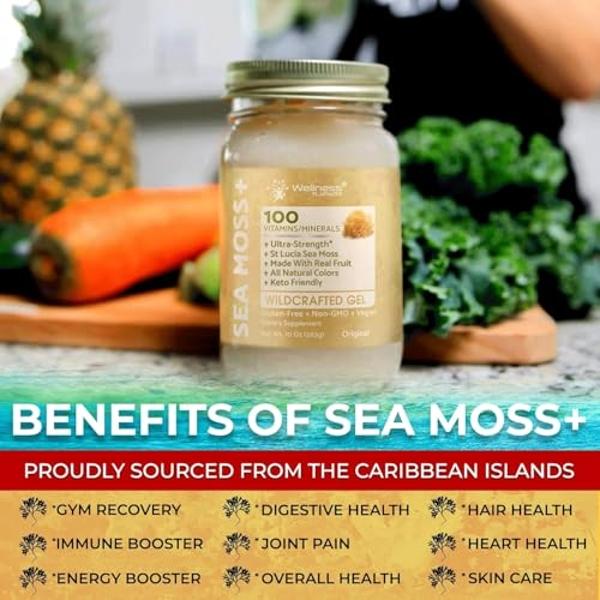 Irish Sea Moss Gel Organic Raw - Wildcrafted Superfood Seamoss Gel - Original Flavor, Vitamin and Mineral-Rich from Pristine Caribbean Waters, Immune and Digestive Health Support -