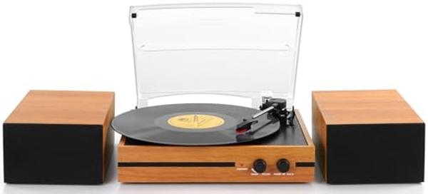 Vinyl Record Player with Dual Stereo Bookshelf Speakers Vintage Belt Drive Bluetooth Turntable with External Speakers,Convert Vinyl to MP3,LP Players AUX Headphone Input RCA Out,Or