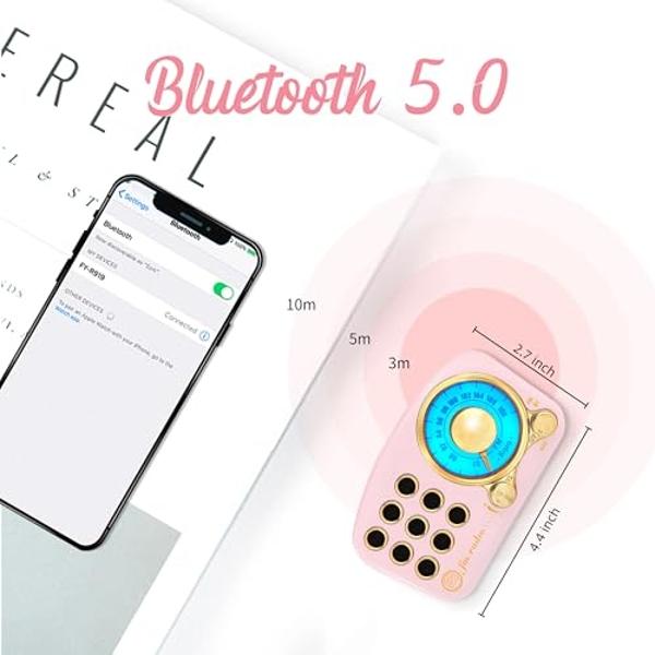 Retro Bluetooth Speaker FM Vintage Radio with Loud Volume, Strong Bass Enhancement, Bluetooth 5.0 Wireless Connection, Loud Volume,TF Card & MP3 Player (Pink)