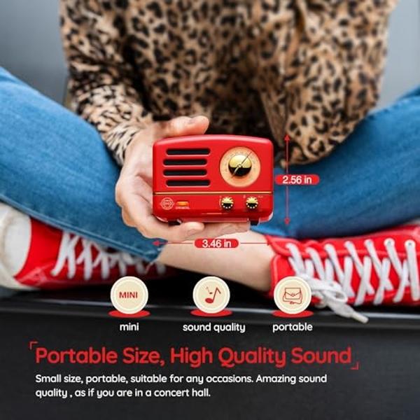 Muzen Portable Bluetooth Speaker, OTR Metal Retro Small Wireless Speaker, FM Radio with Antenna AUX, 10h+ Long Playtime, High Fidelity Stereo Audio with Suitcase, Room Office Decor