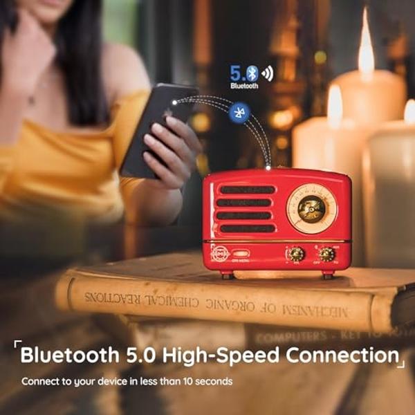 Muzen Portable Bluetooth Speaker, OTR Metal Retro Small Wireless Speaker, FM Radio with Antenna AUX, 10h+ Long Playtime, High Fidelity Stereo Audio with Suitcase, Room Office Decor