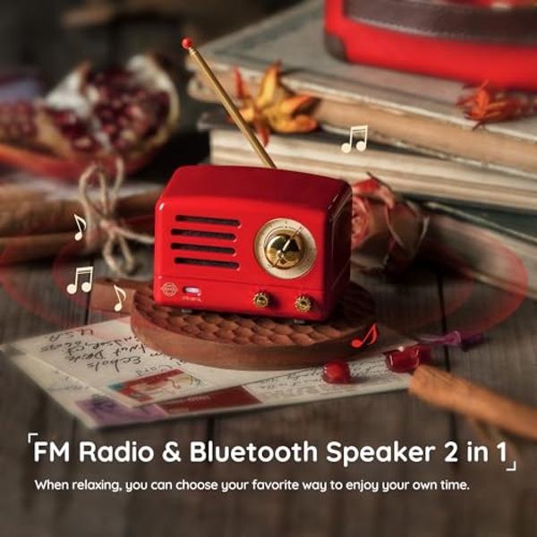 Muzen Portable Bluetooth Speaker, OTR Metal Retro Small Wireless Speaker, FM Radio with Antenna AUX, 10h+ Long Playtime, High Fidelity Stereo Audio with Suitcase, Room Office Decor