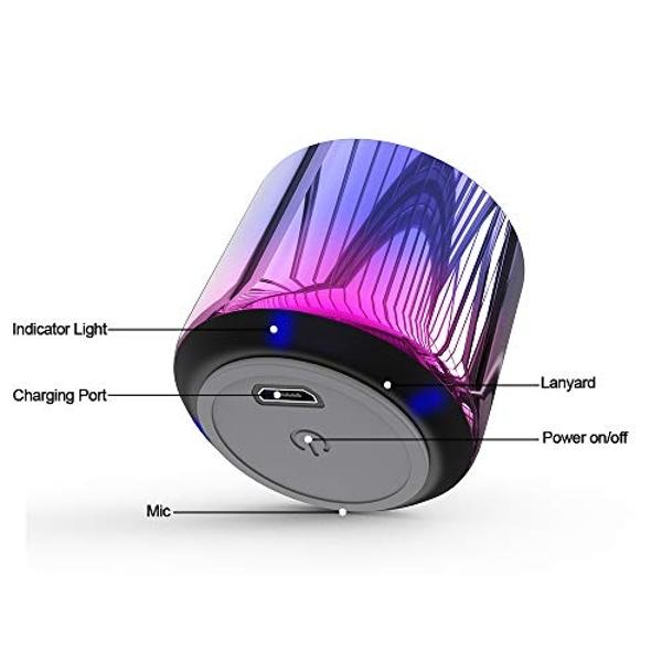 TWS Wireless Portable Mini Bluetooth Speakers with Big Sound, Wireless Stereo Pairing, Metal Enclosure, Minimalism Design, Nylon Lanyard for Echo Dot/Android/ipad/iPhone/Laptop