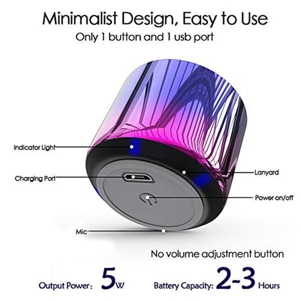 TWS Wireless Portable Mini Bluetooth Speakers with Big Sound, Wireless Stereo Pairing, Metal Enclosure, Minimalism Design, Nylon Lanyard for Echo Dot/Android/ipad/iPhone/Laptop