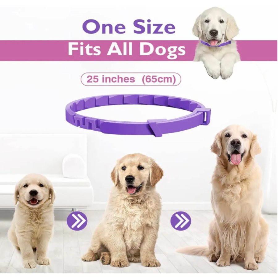 Collar calmante con feromonas para perros y gatos, ¡Reduce la ansiedad de tu mascota con este collar calmante de lavanda y feromonas!