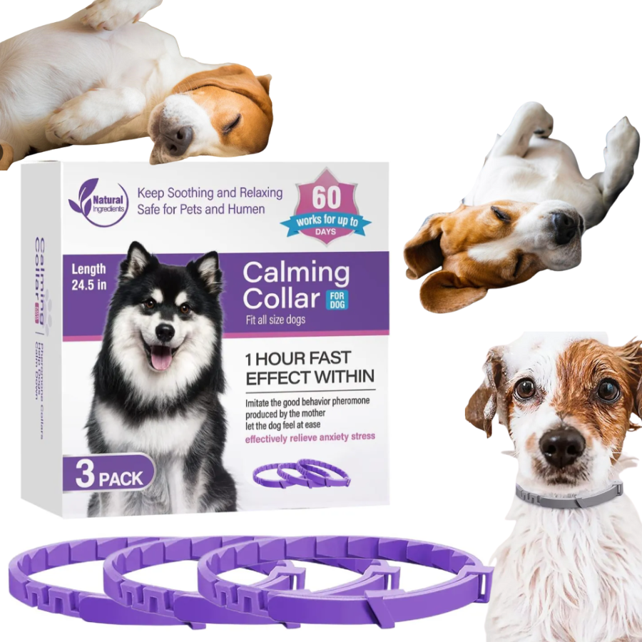 Collar calmante con feromonas para perros y gatos, ¡Reduce la ansiedad de tu mascota con este collar calmante de lavanda y feromonas!