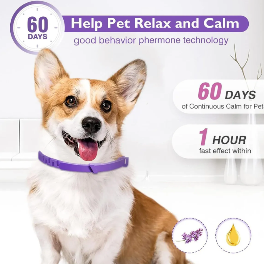 Collar calmante con feromonas para perros y gatos, ¡Reduce la ansiedad de tu mascota con este collar calmante de lavanda y feromonas!