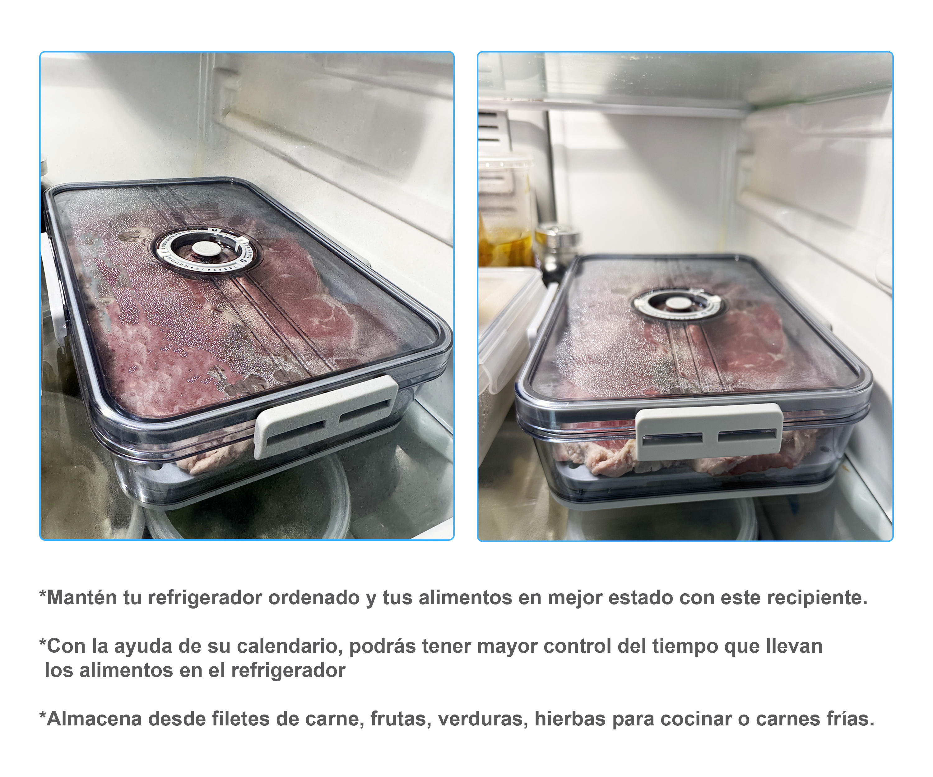Recipiente Chico De Alimentos Para Refrigerador Con Tapa